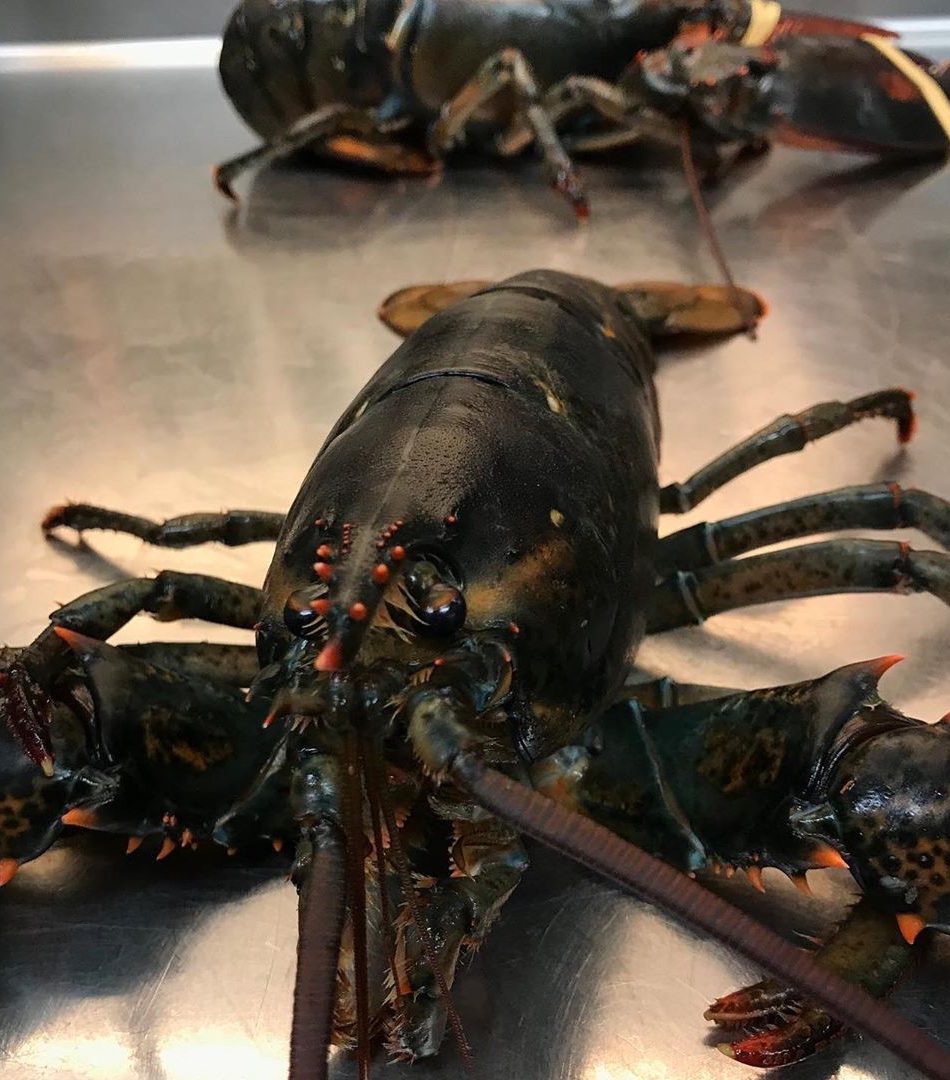 fred finest market menu van de week traiteur delicatessen
